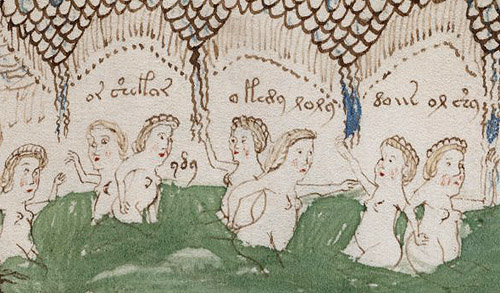 An extract from the mysterious Voynich Manuscript