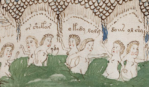 An extract from the mysterious Voynich Manuscript An extract from the mysterious Voynich Manuscript